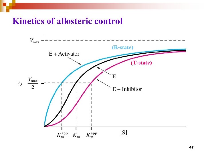 Kinetics of allosteric control (R-state) (R state) (T-state) 47 