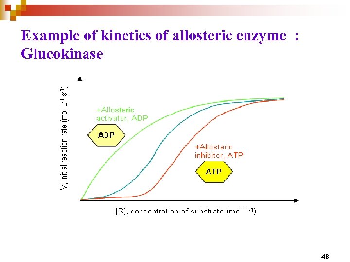 Example of kinetics of allosteric enzyme : Glucokinase 48 