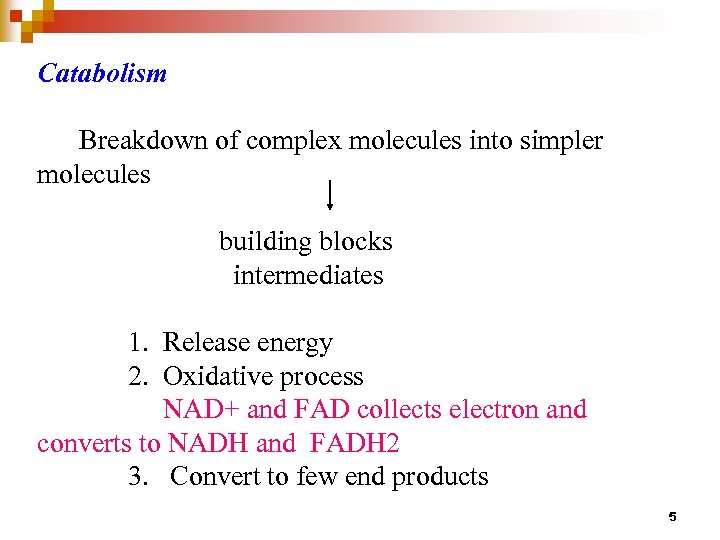 Catabolism Breakdown of complex molecules into simpler molecules building blocks intermediates 1. Release energy