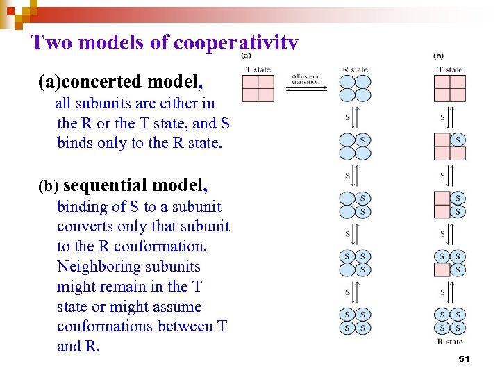 sequential model positive cooperativity