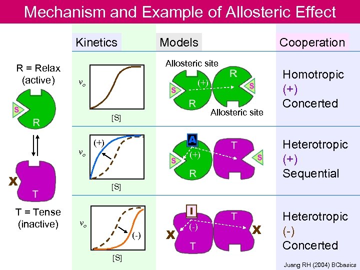 Mechanism and Example of Allosteric Effect Kinetics R = Relax (active) Models Allosteric site