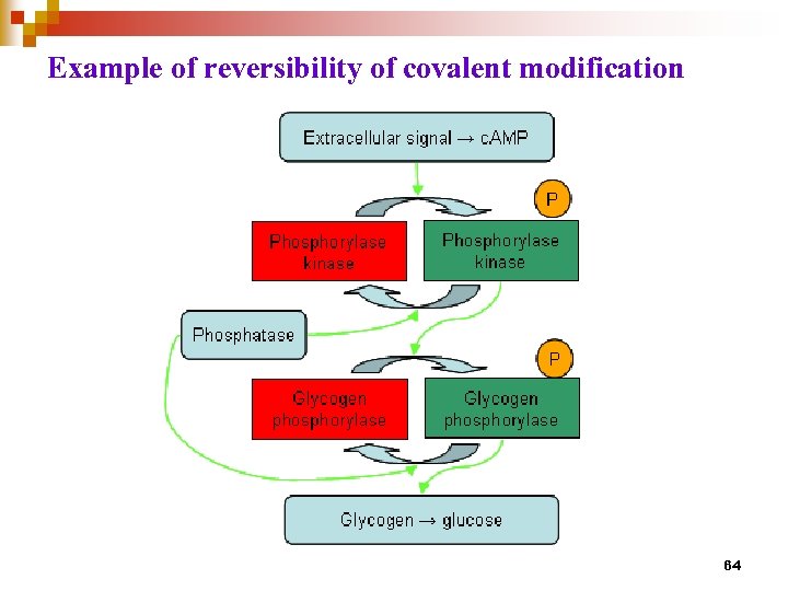 Example of reversibility of covalent modification 64 