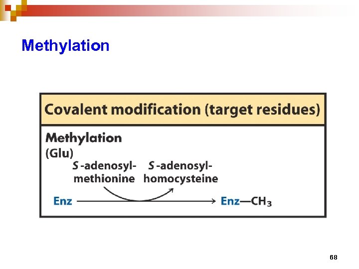 Methylation 68 