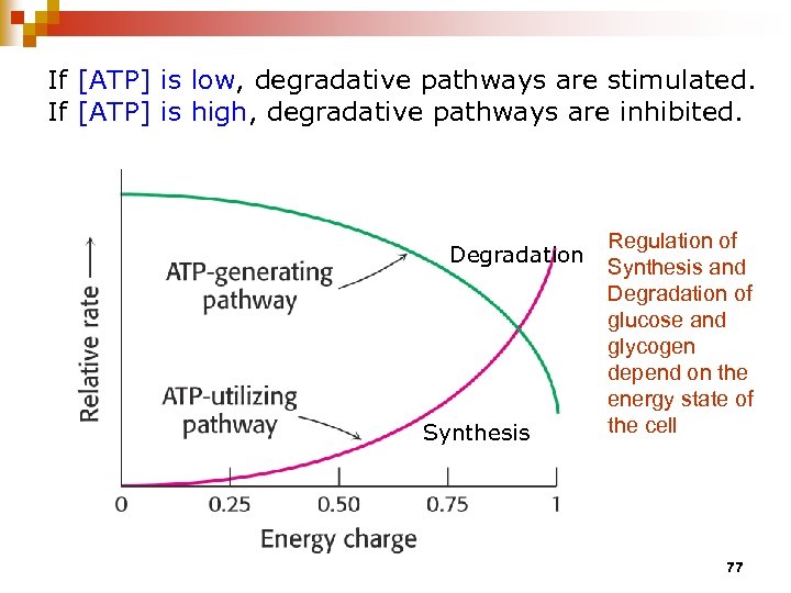 If [ATP] is low, degradative pathways are stimulated. If [ATP] is high, degradative pathways