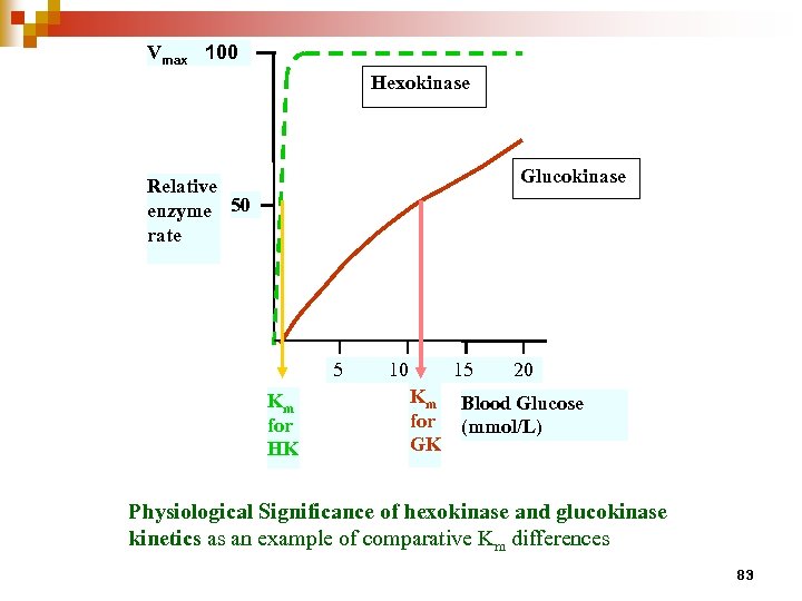 Vmax 100 Hexokinase Glucokinase Relative enzyme 50 rate 5 Km for HK 10 15