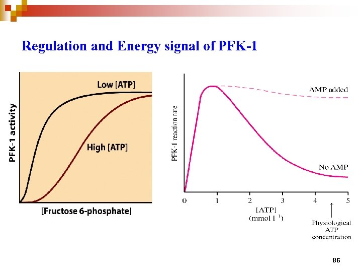 Regulation and Energy signal of PFK-1 86 