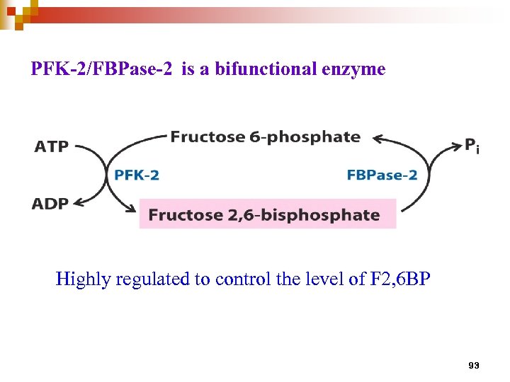 PFK-2/FBPase-2 is a bifunctional enzyme Highly regulated to control the level of F 2,