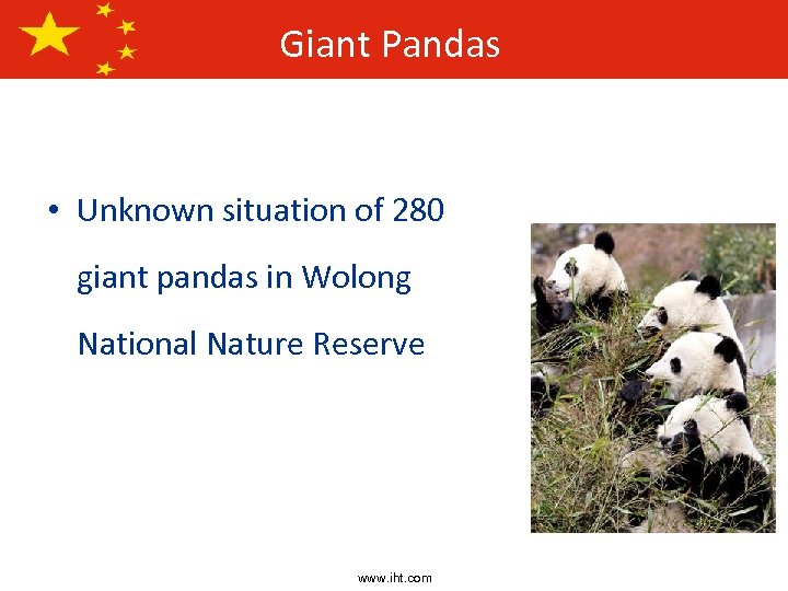 Giant Pandas • Unknown situation of 280 giant pandas in Wolong National Nature Reserve
