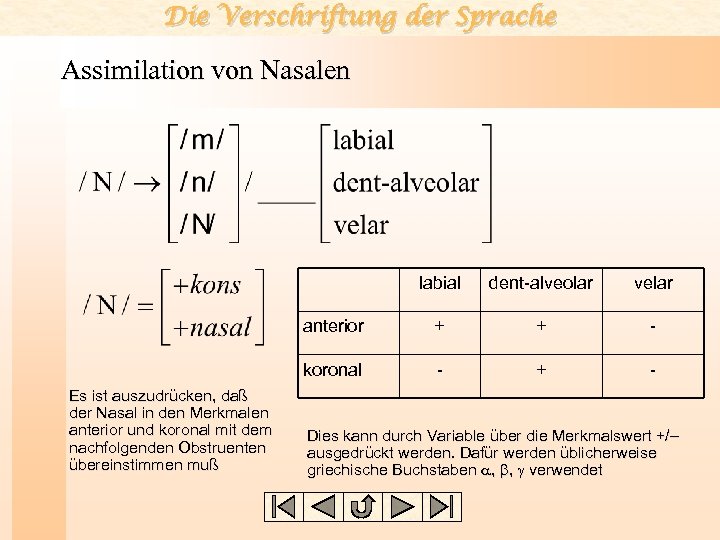 Die Verschriftung der Sprache Assimilation von Nasalen labial velar anterior + + - koronal