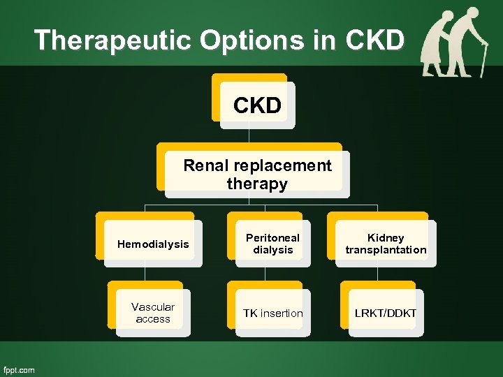 Therapeutic Options in CKD Renal replacement therapy Hemodialysis Peritoneal dialysis Kidney transplantation Vascular access