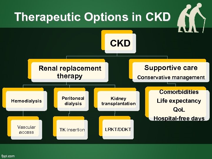 Therapeutic Options in CKD Supportive care Renal replacement therapy Hemodialysis Peritoneal dialysis Conservative management