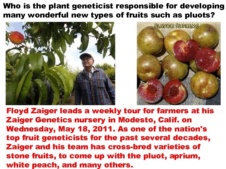 Who is the plant geneticist responsible for developing many wonderful new types of fruits