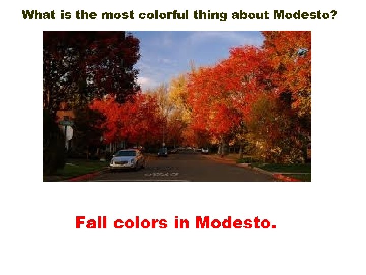 What is the most colorful thing about Modesto? Fall colors in Modesto. 