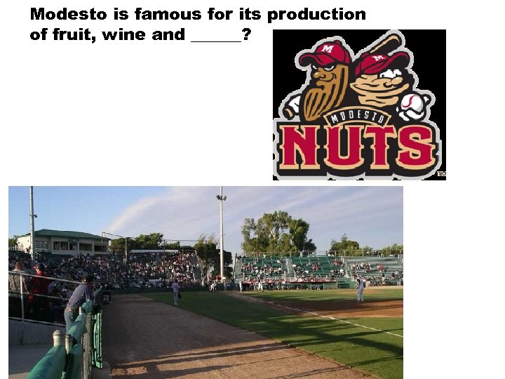 Modesto is famous for its production of fruit, wine and ______? 