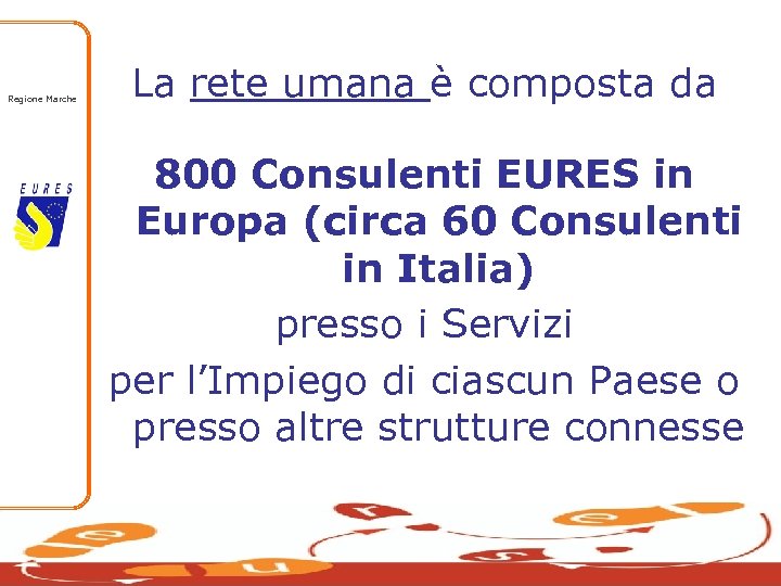 Regione Marche La rete umana è composta da 800 Consulenti EURES in Europa (circa