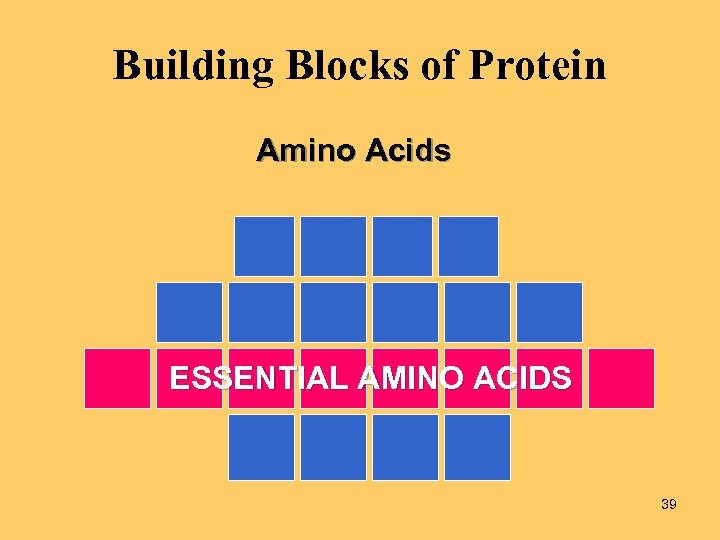 Building Blocks of Protein Amino Acids ESSENTIAL AMINO ACIDS 39 