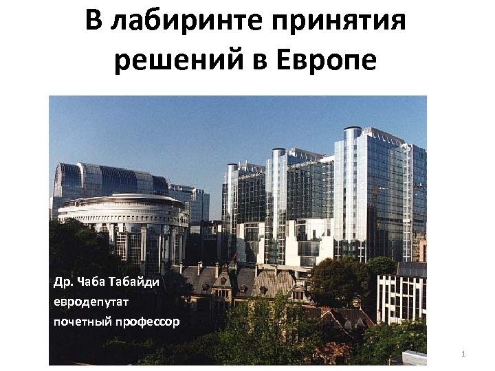 В лабиринте принятия решений в Европе Др. Чаба Табайди евродепутат почетный профессор 1 