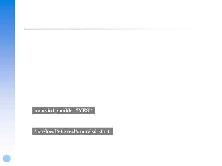 amavisd_enable=“YES” /usr/local/etc/rc. d/amavisd start 
