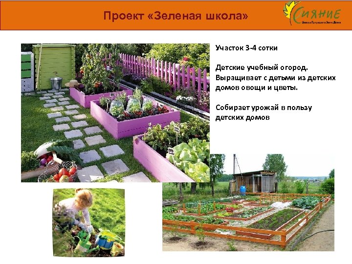 Проект «Зеленая школа» Участок 3 -4 сотки Детские учебный огород. Выращивает с детьми из