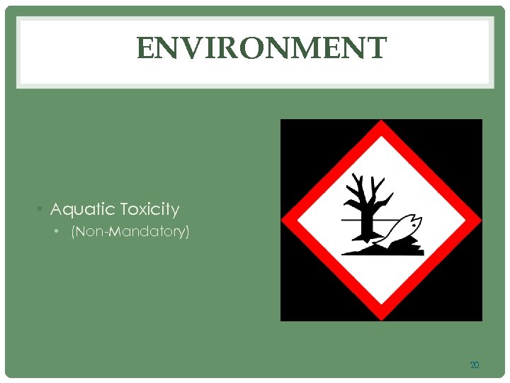 ENVIRONMENT • Aquatic Toxicity • (Non-Mandatory) 20 
