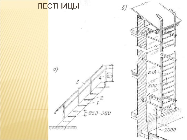 ЛЕСТНИЦЫ 