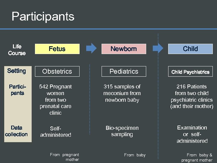 Participants Life Course Fetus Newborn Child Setting Obstetrics Pediatrics Child Psychiatrics Participants 542 Pregnant