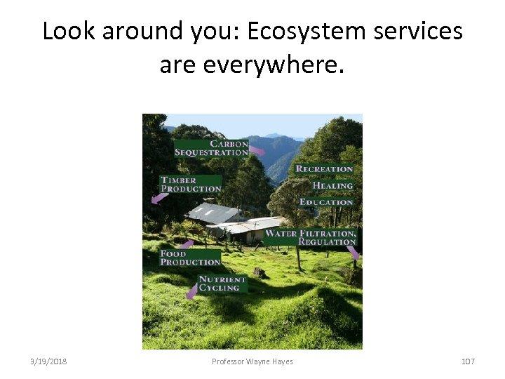 Look around you: Ecosystem services are everywhere. 3/19/2018 Professor Wayne Hayes 107 