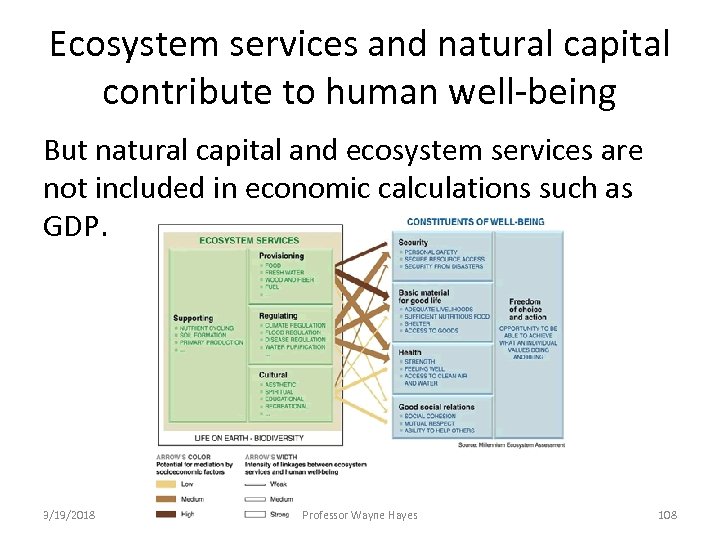 Ecosystem services and natural capital contribute to human well-being But natural capital and ecosystem