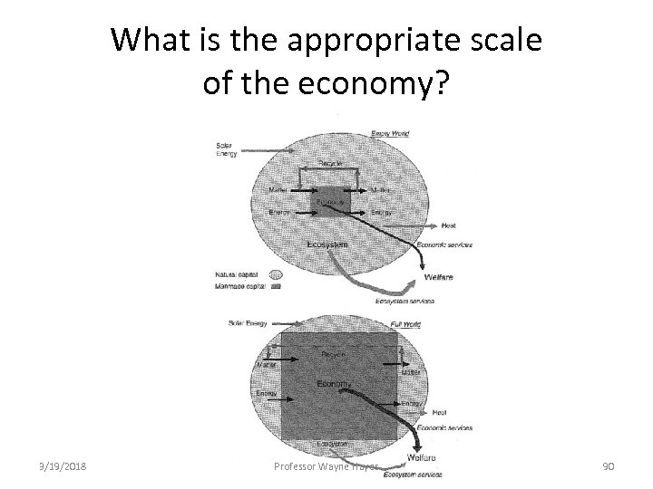What is the appropriate scale of the economy? 3/19/2018 Professor Wayne Hayes 90 