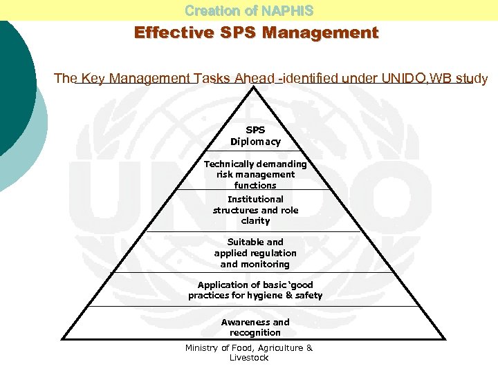 Creation of NAPHIS Effective SPS Management The Key Management Tasks Ahead -identified under UNIDO,