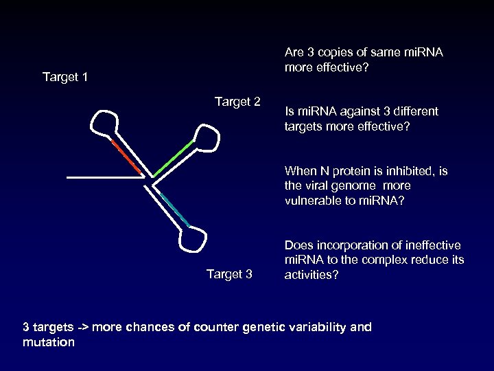 Are 3 copies of same mi. RNA more effective? Target 1 Target 2 Is