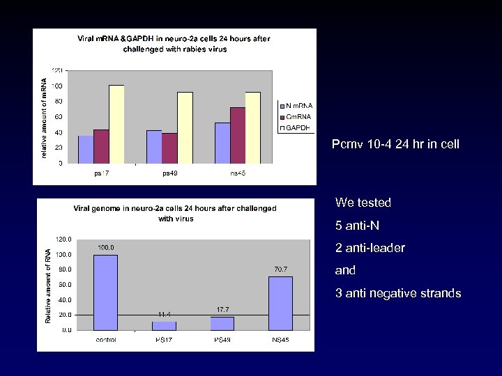 Pcmv 10 -4 24 hr in cell We tested 5 anti-N 2 anti-leader and