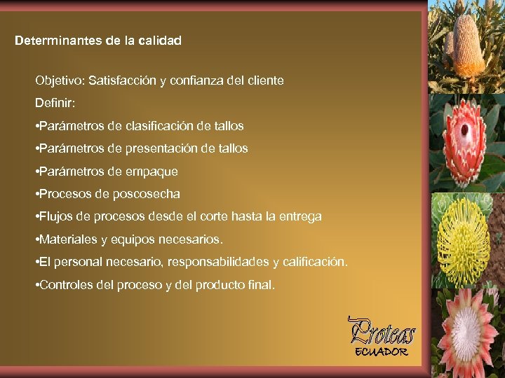 Determinantes de la calidad Objetivo: Satisfacción y confianza del cliente Definir: • Parámetros de