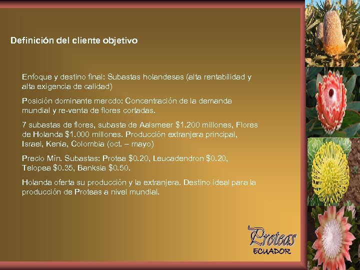 Definición del cliente objetivo Enfoque y destino final: Subastas holandesas (alta rentabilidad y alta