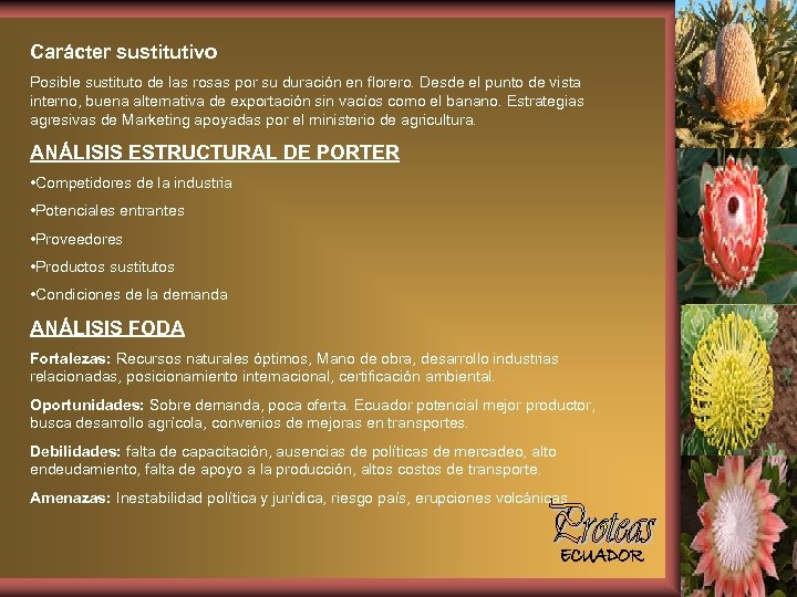 Carácter sustitutivo Posible sustituto de las rosas por su duración en florero. Desde el