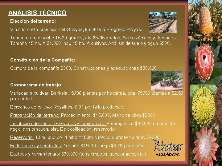 ANÁLISIS TÉCNICO Elección del terreno: Vía a la costa provincia del Guayas, km 80