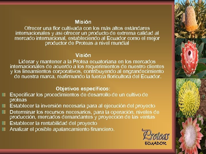 Misión Ofrecer una flor cultivada con los más altos estándares internacionales y así ofrecer