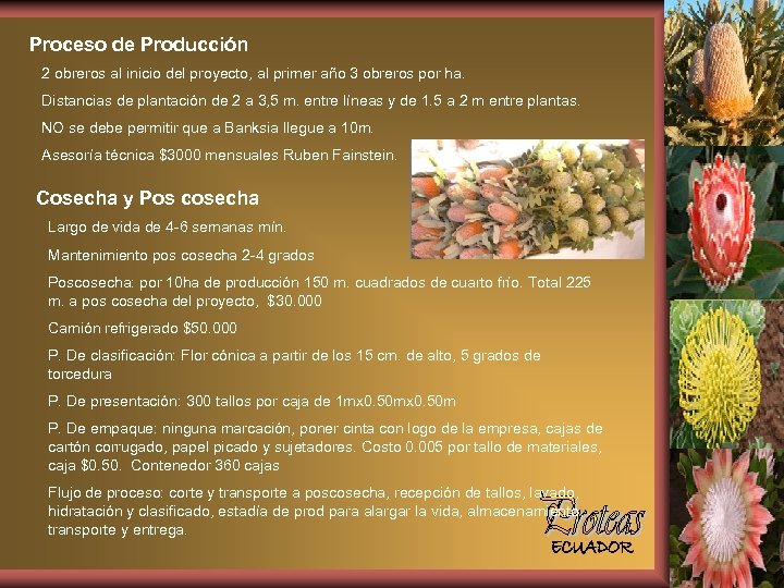 Proceso de Producción 2 obreros al inicio del proyecto, al primer año 3 obreros