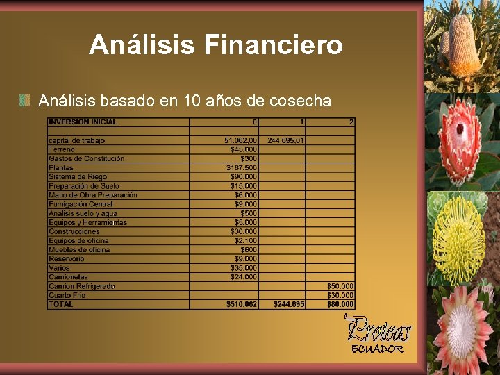 Análisis Financiero Análisis basado en 10 años de cosecha 