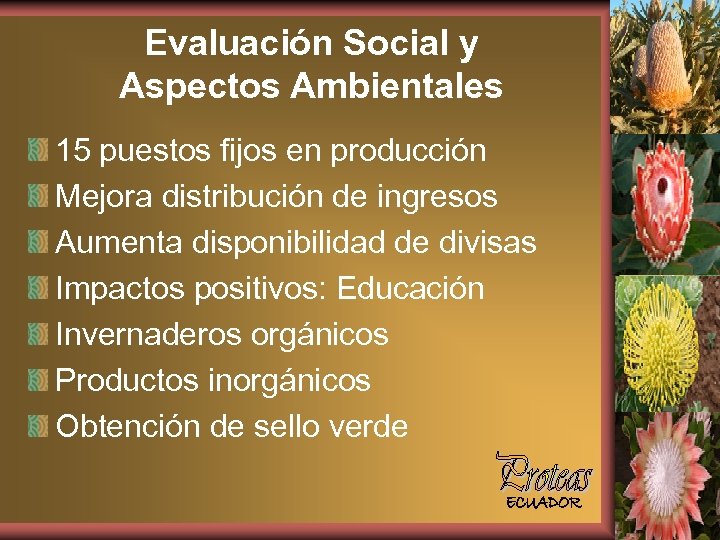 Evaluación Social y Aspectos Ambientales 15 puestos fijos en producción Mejora distribución de ingresos