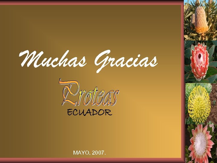 Muchas Gracias MAYO, 2007. 