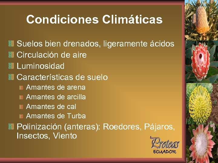 Condiciones Climáticas Suelos bien drenados, ligeramente ácidos Circulación de aire Luminosidad Características de suelo