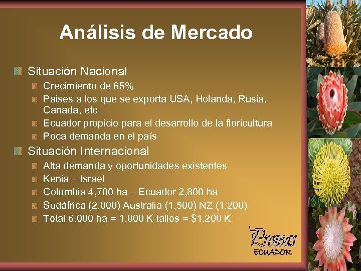 Análisis de Mercado Situación Nacional Crecimiento de 65% Paises a los que se exporta