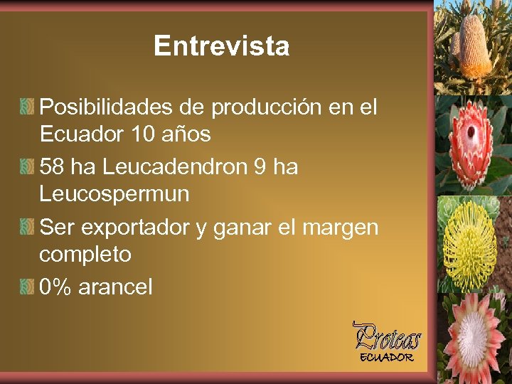 Entrevista Posibilidades de producción en el Ecuador 10 años 58 ha Leucadendron 9 ha