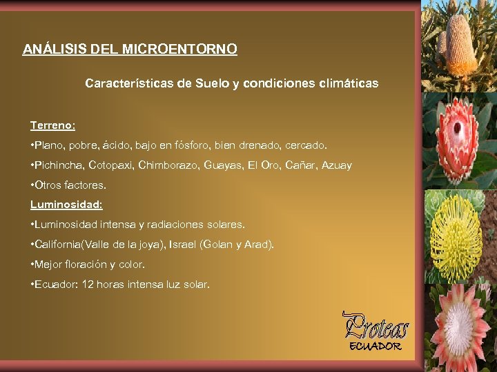 ANÁLISIS DEL MICROENTORNO Características de Suelo y condiciones climáticas Terreno: • Plano, pobre, ácido,