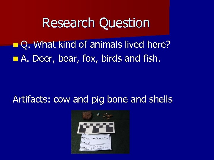 Research Question n Q. What kind of animals lived here? n A. Deer, bear,