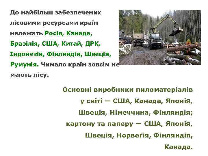 До найбільш забезпечених лісовими ресурсами країн належать Росія, Канада, Бразілія, США, Китай, ДРК, Індонезія,