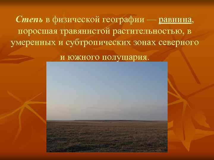 Степь в физической географии — равнина, поросшая травянистой растительностью, в умеренных и субтропических зонах