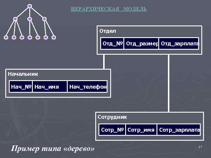 ИЕРАРХИЧЕСКАЯ МОДЕЛЬ Отдел Отд_№ Отд_размер Отд_зарплата Начальник Нач_№ Нач_имя Нач_телефон Сотрудник Сотр_№ Сотр_имя Сотр_зарплата