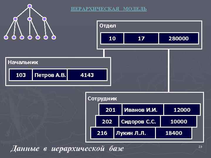 ИЕРАРХИЧЕСКАЯ МОДЕЛЬ Отдел 10 17 280000 Начальник 103 Петров А. В. 4143 Сотрудник 201